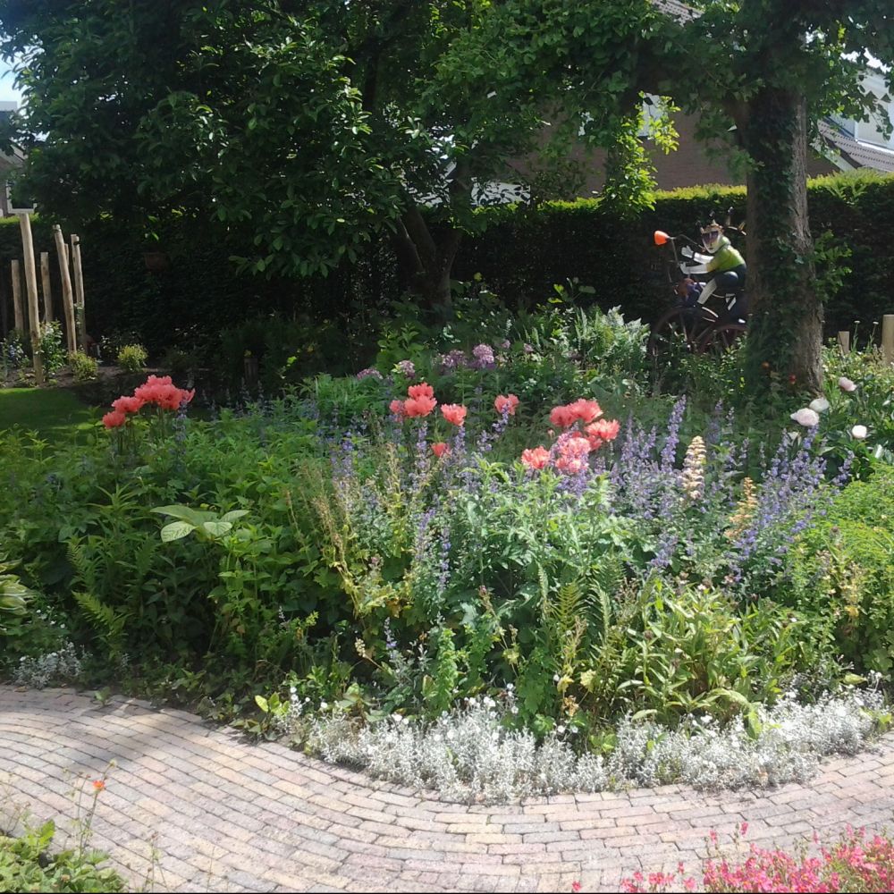 Tuin ontwerpen Brabant